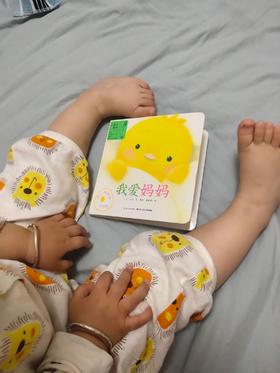 《小鸡球球成长系列绘本》：现在看可以自己描述场景了，比之前有很大进步