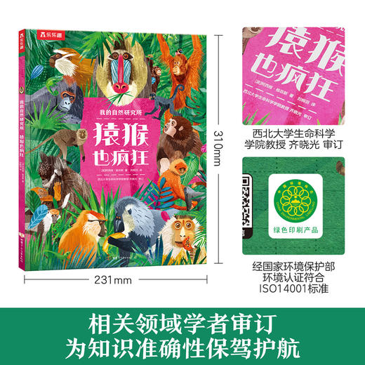 乐乐趣科普绘本-我的自然研究所 猿猴也疯狂 商品图5