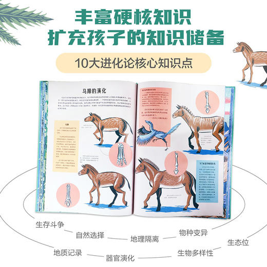 乐乐趣科普绘本-像伟人一样思考世界 达尔文与物种起源 商品图2