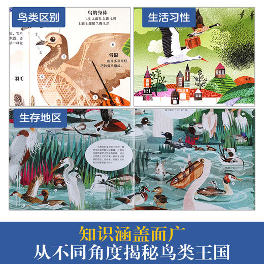 乐乐趣科普百科-我的自然研究所 鸟类总动员 商品图2