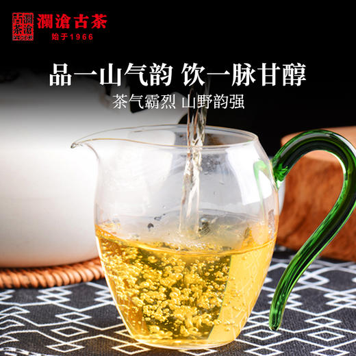 澜沧古茶2021年55周年四喜贡瓜（一季）布朗山金瓜普洱茶生茶金瓜1000g 商品图4
