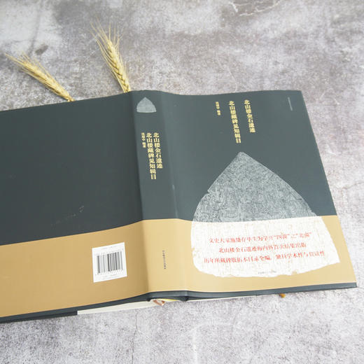 北山楼金石遗迹 北山楼藏碑见知辑目 文史大家施蛰存北山楼金石遗迹 历年所藏周秦至清碑版拓本目录全编 商品图2