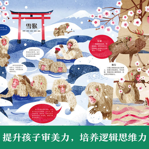乐乐趣科普绘本-我的自然研究所 猿猴也疯狂 商品图3