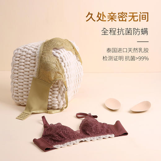 【首推】万康专利款蕾丝背心文胸女士内衣兔子耳朵内杯超薄款夏天文胸聚 商品图2