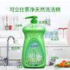 可立仕茶净天然洗洁精（绿瓶）1108g 商品缩略图0