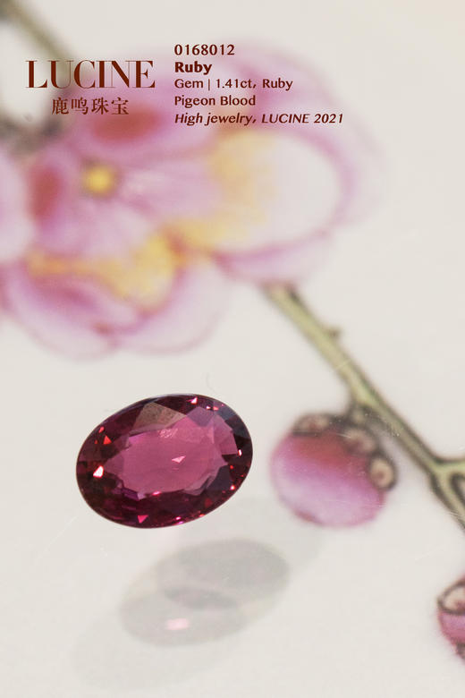 收藏级裸石 | 1-2ct鸽血红红宝石 商品图2