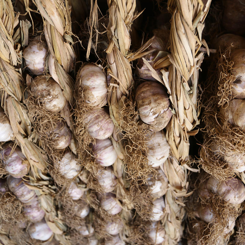 2018新蒜 圣水头一宝 紫皮辫子蒜 大蒜 干蒜 一辫50头 包邮