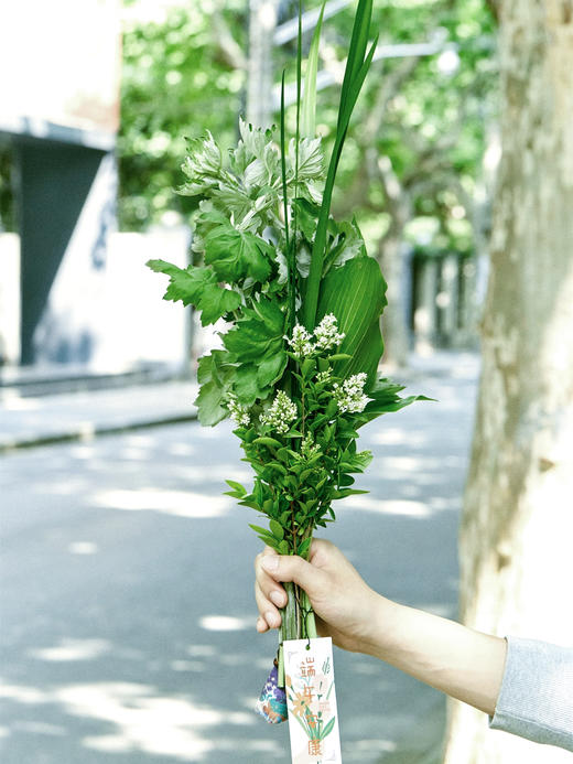 虹越预售 端午安康艾草花束带粽子香包多规格6月8 10号发货 时尚家居达人商城