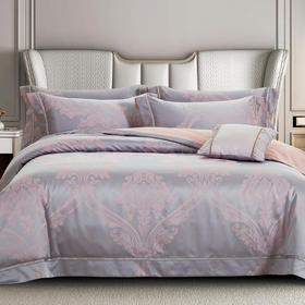 鑫缘 高档双色纬提花四件套 DXB6418