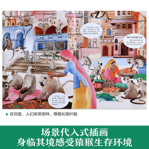 乐乐趣科普绘本-我的自然研究所 猿猴也疯狂 商品图2