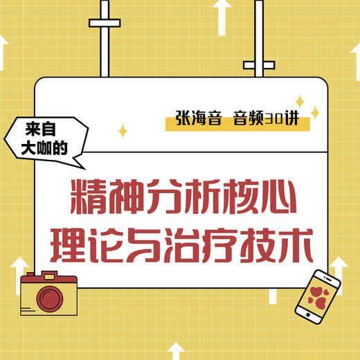 张海音：精神分析核心理论与治疗技术【视频30讲】 商品图0