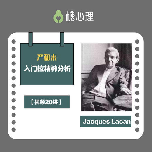 严和来：拉康精神分析入门 | “带你回到弗洛伊德”【视频20讲】 商品图0