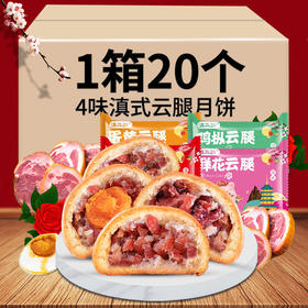 【食品酒水】云南宣威酥皮滇式云腿月饼