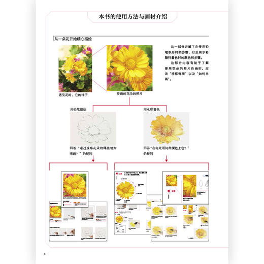 后浪正版 花世界：四季花草的水彩描绘技法 从简单小花到复杂花束，活用水彩就能轻松表现。 七节精华课程，助你冲破新手屏障，想画就画！ 商品图3