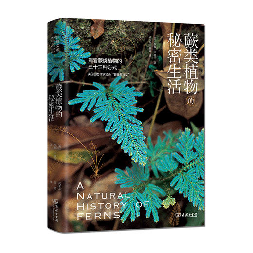 蕨类植物的秘密生活(自然文库) 商品图0