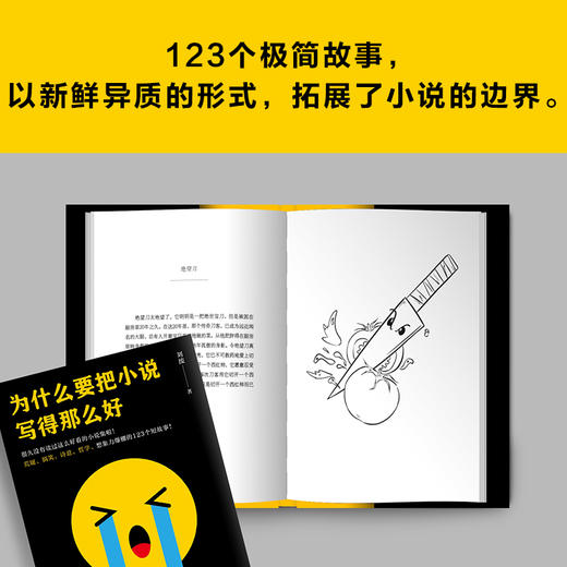 为什么要把小说写得那么好（荒诞、搞笑、诗意、哲学的123个短故事！） 商品图3