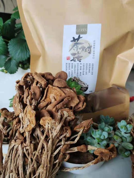 丨生态丨茶树菇1斤 自然晒干 拒绝硫磺熏 五谷菌棒酵素种植 商品图1