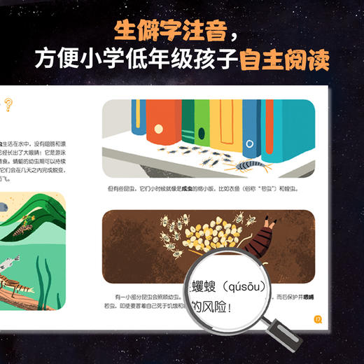 我的小问题（4-6辑，礼盒装共25册） 商品图8