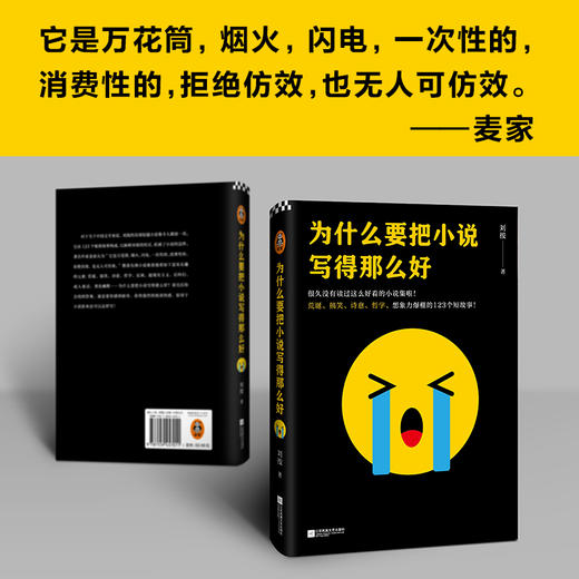 为什么要把小说写得那么好（荒诞、搞笑、诗意、哲学的123个短故事！） 商品图2