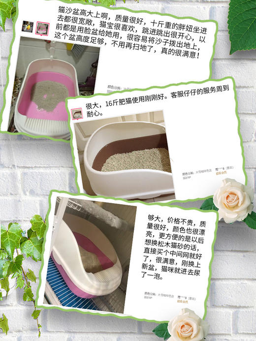 【新人专享】金多乐猫咪厕所猫砂盆防外溅 商品图2