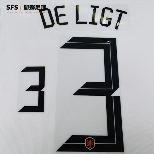 SFS 2021欧洲杯荷兰主场客场球员印号 多球员选项（非球衣链接） 商品图1