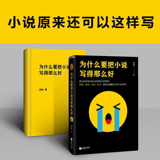为什么要把小说写得那么好（荒诞、搞笑、诗意、哲学的123个短故事！） 商品图4
