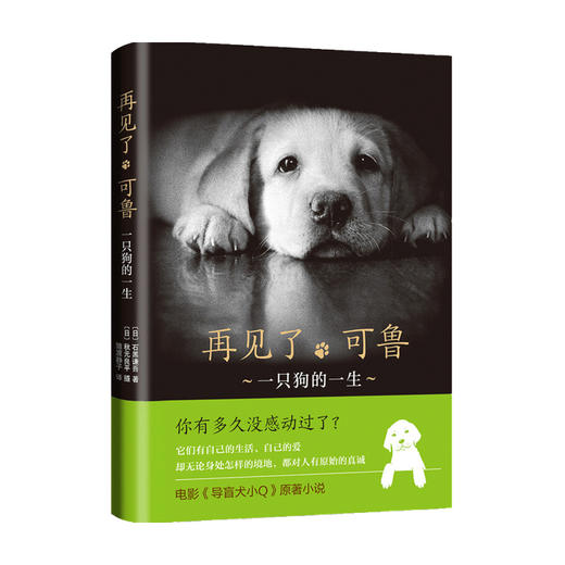 再见了 可鲁 2018版 石黑谦吾 著 社会小说 商品图0