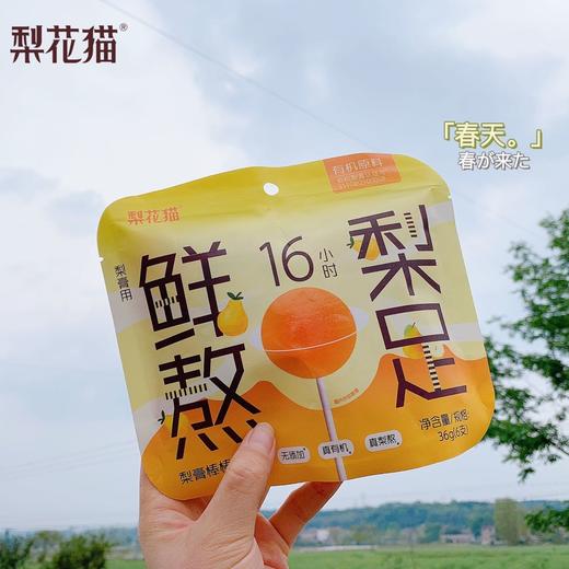 梨花猫—有机梨膏棒棒糖 商品图0
