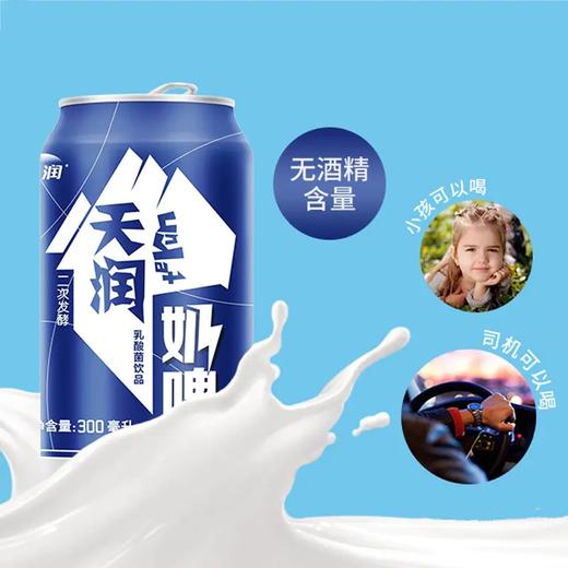 【爽口饮品】天润奶啤 300ml/罐×12罐/箱丨【主城区包邮】  商品图1