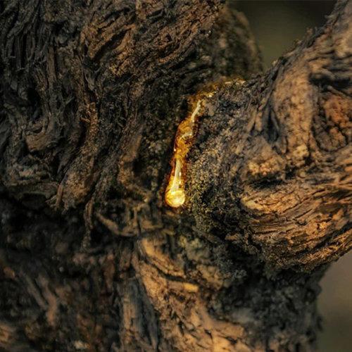 DIOR/迪奥凝世金颜御龄面霜50ml 滋润版 商品图4