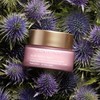 Clarins娇韵诗青春赋活日间霜面霜50ML「清爽型」 商品缩略图2