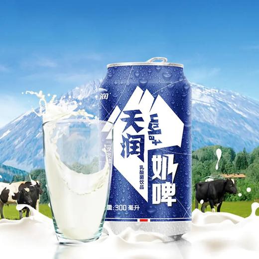 【爽口饮品】天润奶啤 300ml/罐×12罐/箱丨【主城区包邮】  商品图3