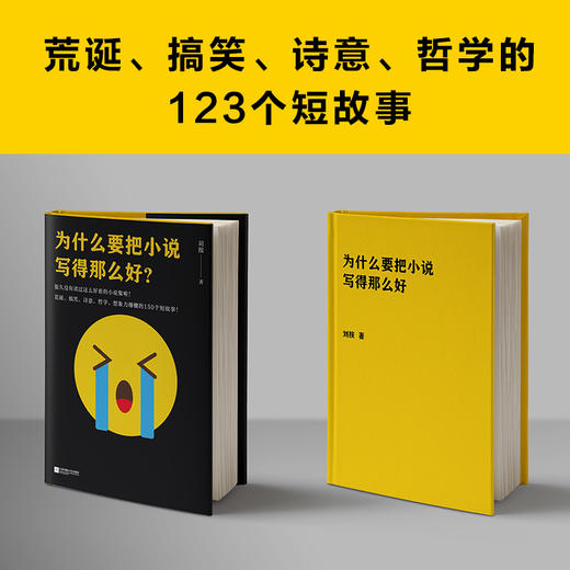 为什么要把小说写得那么好（荒诞、搞笑、诗意、哲学的123个短故事！） 商品图0