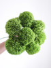 【周四秒杀】绿石竹球5枝39.8元 商品缩略图0