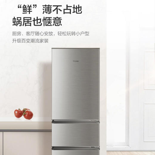 海尔（Haier）冰箱 BCD-215STPD 商品图5