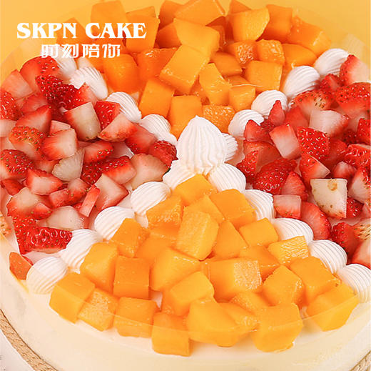夏季热恋 动物奶油鲜果蛋糕 商品图1