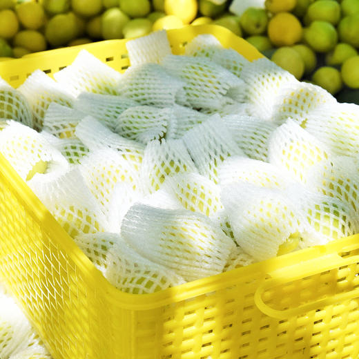 -树上的白色蜂蜜，新疆轮台小白杏，给你不一样的夏日“杏”福 商品图4