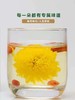 轩德皇菊20g罐装 商品缩略图1