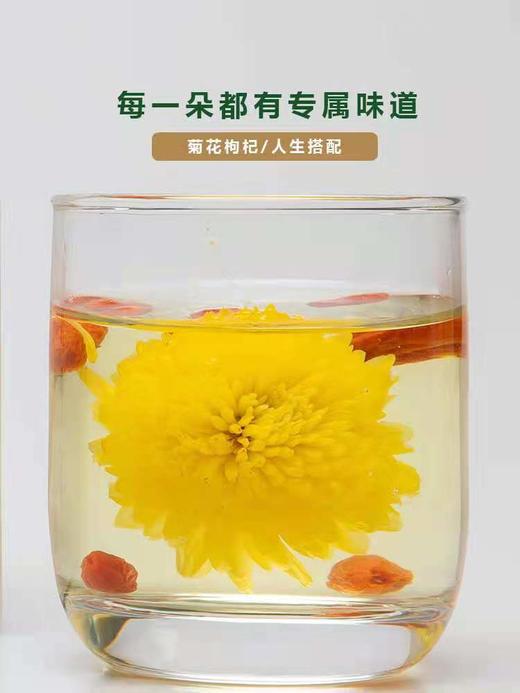 轩德皇菊20g罐装 商品图1