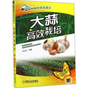 大蒜高效栽培