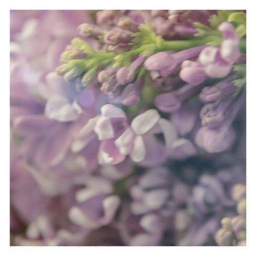 GUCCI/古驰罪爱女士香水 EDP浓香水30-50-90ml 商品图3