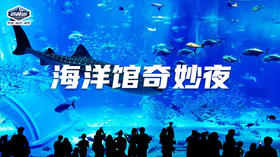 【烟台站】乐教托辅&海洋馆奇妙夜，经历不寻常的挑战~