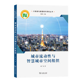 城市流动性与智慧城市空间组织(大数据与智慧城市研究丛书)