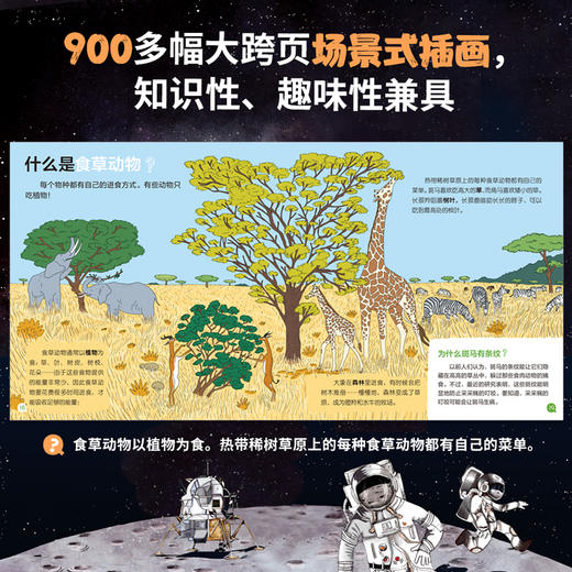 我的小问题（4-6辑，礼盒装共25册） 商品图4