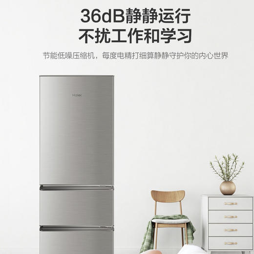 海尔（Haier）冰箱 BCD-215STPD 商品图8