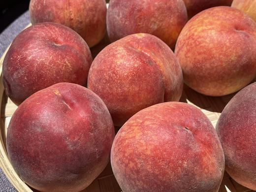 玄武黄桃 4斤16枚 商品图0