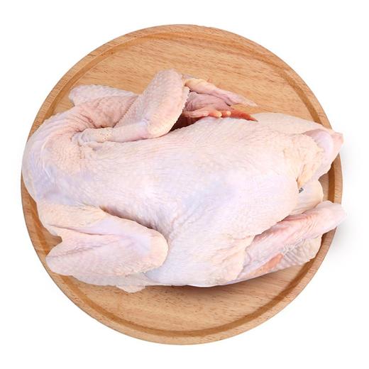 凤中皇138纯种清远鸡农家放养走地鸡土鸡新鲜鸡肉 800g*2只 商品图1