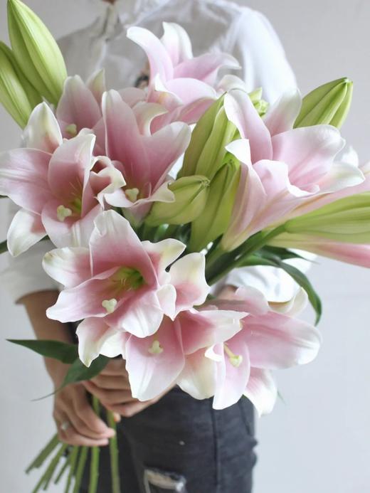 铁炮百合【我要傍近你，方不至于难过】简小姐精选 新品A 级铁炮百合-粉/白铁炮 2件包邮 下单72小时发货 商品图7