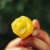 多彩樱桃自然熟小番茄  3斤装 商品缩略图9