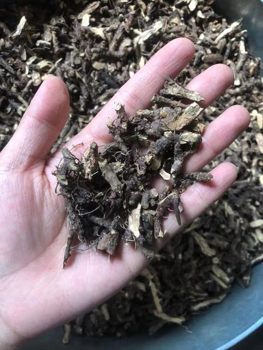 淫羊藿 常用统货 云南仙灵脾统货 特级淫羊藿  淫羊藿 商品图2